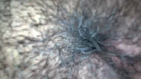 Snapshot of white_sexy_ chatting on September 21, 11:34 am white_sexy_ online show from September 21, 11:34 am