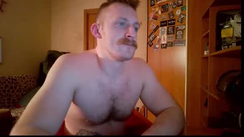 Snapshot of whitebull97 chatting on February 8, 6:11 pm WhiteBull online show from February 8, 6:11 pm