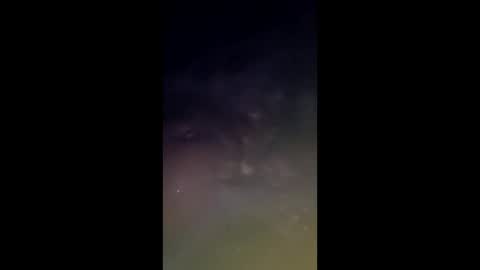 whiteoak19522 online show from March 24, 9:58 am