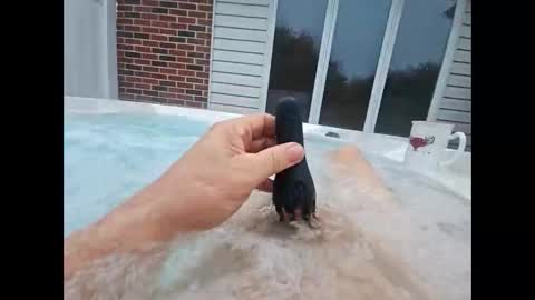 whiteoak19522 online show from April 18, 10:41 am