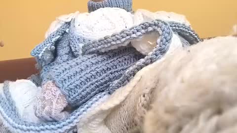 whitesweater online show from March 23, 6:50 am