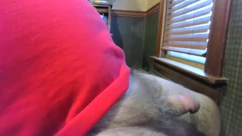 Snapshot of whydog chatting on January 4, 10:24 pm whydog online show from January 4, 10:24 pm