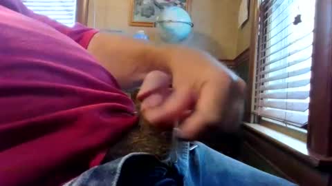 whydog online show from November 27, 2:52 pm