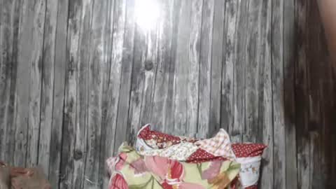 wild_ass_zessa online show from November 27, 12:07 pm