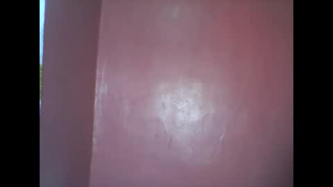 wild_sunflower11 online show from December 8, 3:43 am