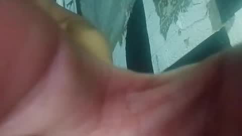 Snapshot of wildasshole123 chatting on November 29, 12:19 pm wildasshole123 online show from November 29, 12:19 pm