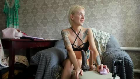 wildforestmuse  twitter online show from April 13, 8:20 am