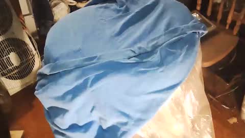 wildman6 online show from January 10, 8:43 pm