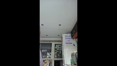 WildPersia online show from January 15, 9:47 am