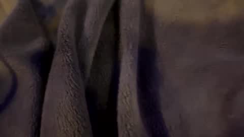 wiley0520 online show from January 15, 9:03 am