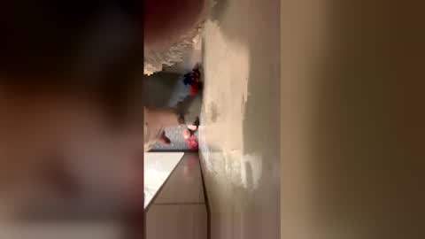 williamcody653 online show from February 15, 6:21 am