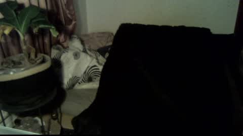 Call me Babe online show from December 18, 3:11 pm