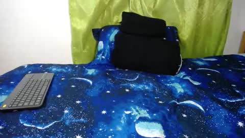 Snapshot of willmonkey chatting on October 24, 2:52 am willmonkey online show from October 24, 2:52 am