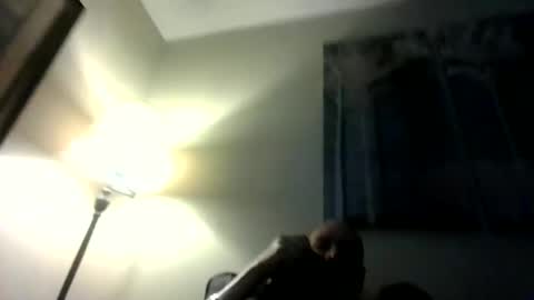 Willhedoher online show from March 1, 12:51 pm