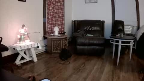 Snapshot of willydogg83 chatting on December 16, 6:07 am willydogg83 online show from December 16, 6:07 am