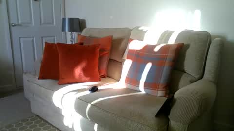 windy19391a online show from December 2, 10:53 am