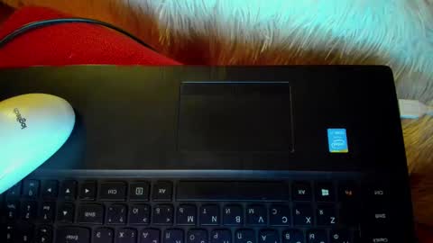 Winter Miracle online show from January 20, 7:36 am