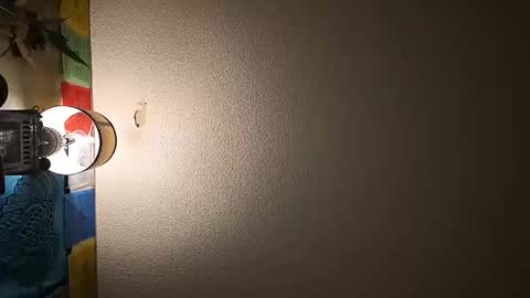 Snapshot of wizardmike421 chatting on November 19, 3:06 am wizardmike421 online show from November 19, 3:06 am