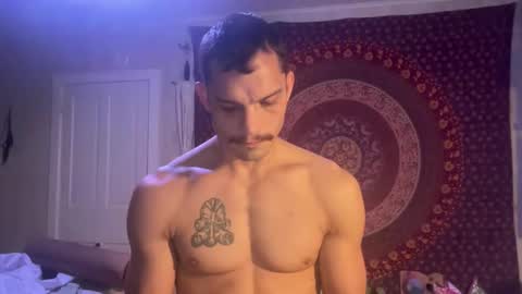 Wolfblazer online show from January 28, 11:17 am