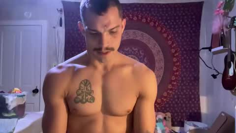 Wolfblazer online show from February 2, 10:24 am