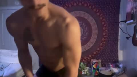 Wolfblazer online show from February 11, 10:26 am