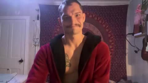 Wolfblazer online show from February 12, 10:14 am