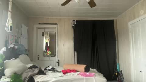 Wolfblazer online show from February 20, 5:29 pm