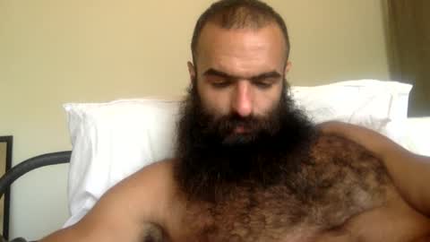 woof_wolf37 online show from April 6, 10:44 pm