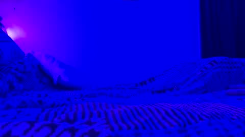 wowsers7 online show from November 7, 8:03 am