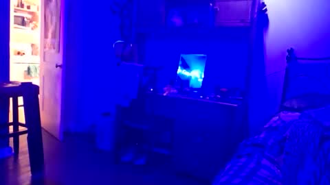 wowsers7 online show from November 16, 1:11 am