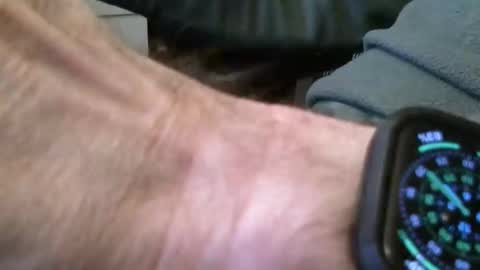 wrangleat0r online show from November 16, 9:20 pm