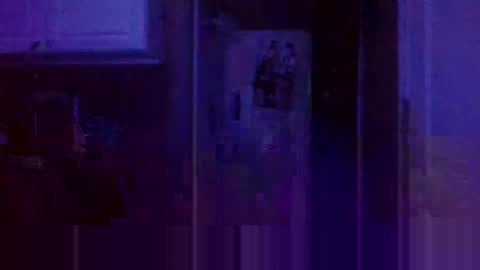 Snapshot of wundrsword33 chatting on January 9, 2:11 am BONER DONOR online show from January 9, 2:11 am