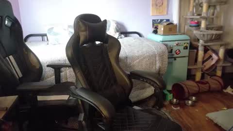 Wyatt online show from November 26, 7:37 pm