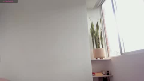 Xavier online show from November 17, 8:47 pm