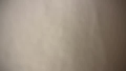 Cindy online show from February 2, 7:04 pm