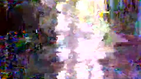 Snapshot of xixo6969 chatting on February 3, 2:53 am xixo6969 online show from February 3, 2:53 am