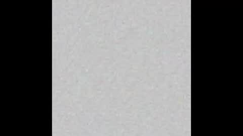 JSSD online show from November 22, 7:13 pm