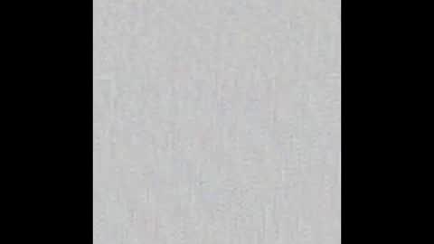 JSSD online show from November 23, 8:52 pm