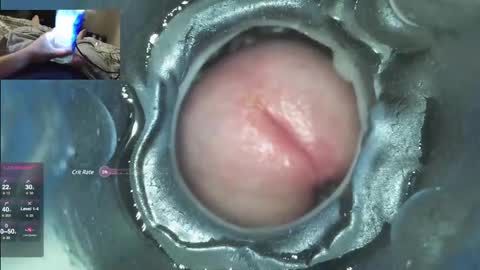 xoxowtf online show from December 7, 4:53 am