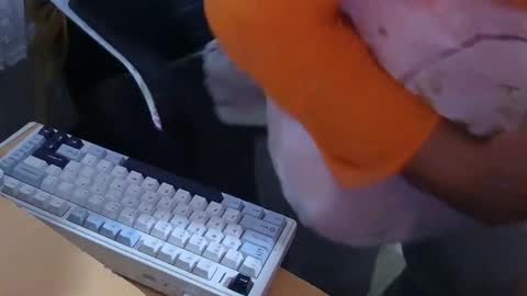 Snapshot of xrokettt chatting on November 15, 7:54 pm xrokettt online show from November 15, 7:54 pm