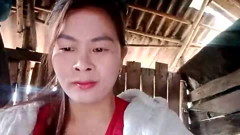 xuxulove00 online show from January 11, 1:43 am