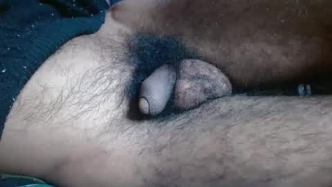 Prince online show from November 16, 7:41 pm