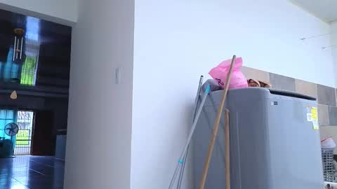 Snapshot of xxxtatianabustyxxx chatting on September 26, 6:01 pm xxxtatianabustyxxx online show from September 26, 6:01 pm