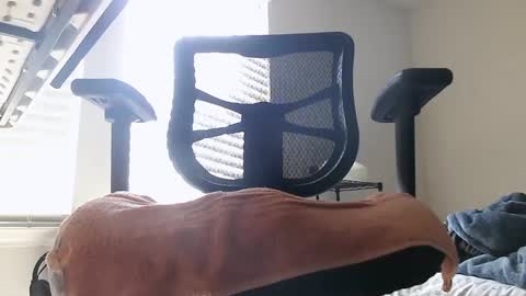 Snapshot of yahbuddy chatting on October 3, 7:55 pm yahbuddy online show from October 3, 7:55 pm