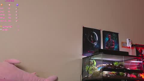 Yara online show from April 3, 10:46 am