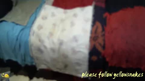 .     y e l l o w s n a k e s       . online show from November 7, 2:28 pm