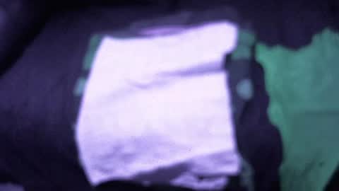 .     y e l l o w s n a k e s       . online show from December 15, 4:00 pm