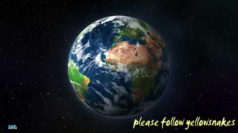 .     y e l l o w s n a k e s       . online show from December 22, 2:25 pm