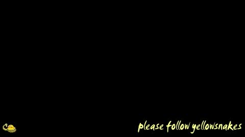 .     y e l l o w s n a k e s       . online show from February 8, 9:34 am