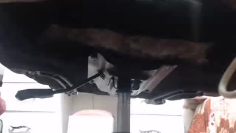 yirily online show from March 19, 5:22 am